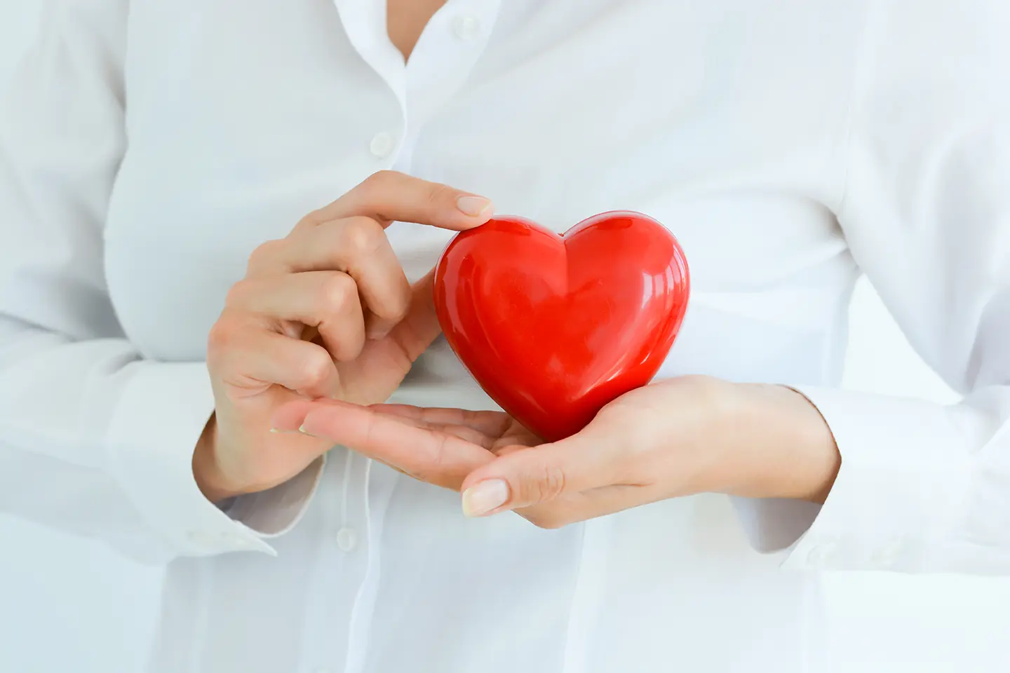 Herz und Gefäße Check-Up